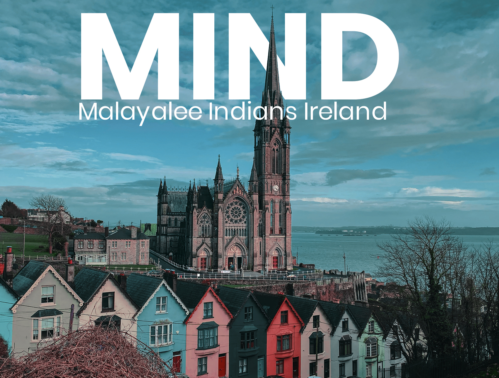 Malayalee Indians Ireland