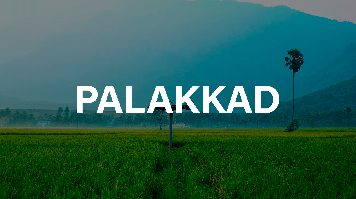Palakkad