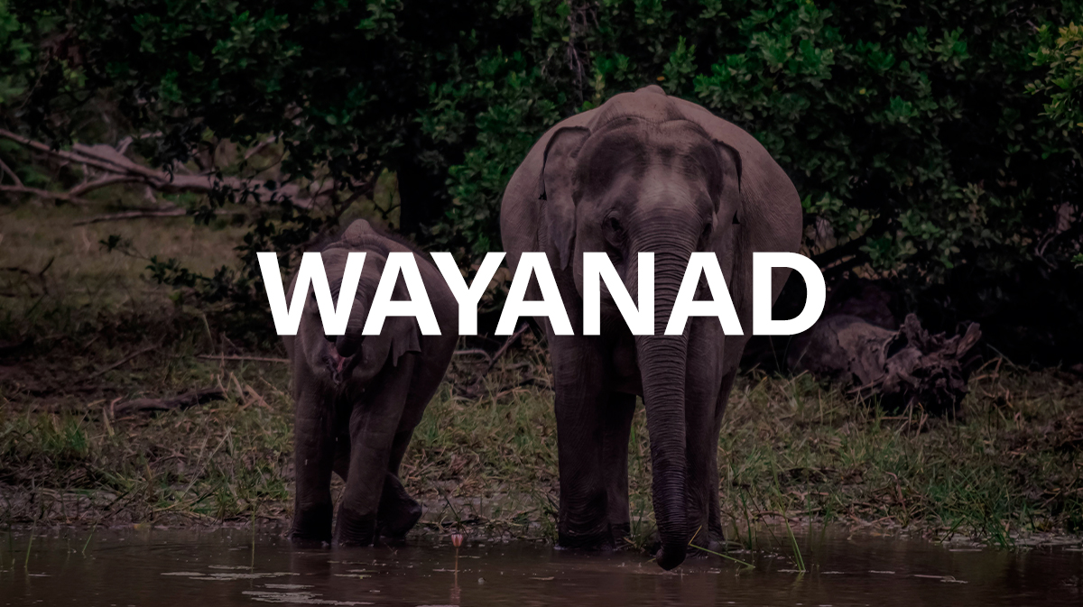 Wayanad